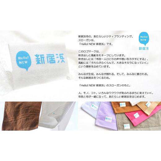 ふるさと納税 タオル・寝具 バスタオル 愛媛県 新居浜市  今治タオル 乾きやすい 「速乾」シリーズ バスタオル 10枚セット（グレー）（ご自宅用） 薄手 Hello…の画像