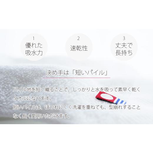 ふるさと納税 タオル・寝具 バスタオル 愛媛県 新居浜市  今治タオル 乾きやすい 「速乾」シリーズ バスタオル 10枚セット（グレー）（ご自宅用） 薄手 Hello…の画像