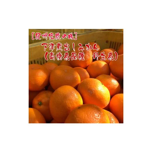 ふるさと納税 果物類 みかん 和歌山県 海南市  紀州伝統の味 下津 蔵出し みかん （ 高糖系品種 丹生系 ） 2kg Ｓ〜Ｌ混合サイズ 先行予約 |  | 01