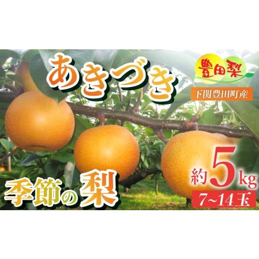 ふるさと納税 梨 山口県 下関市 先行予約 梨 5kg セット 7~14玉 ご家庭用 なし あきづき 秋月 ご自宅用 緩衝材 キャップ 付き フルーツ 季節 旬 果物 期間 数…