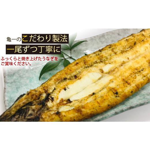 ふるさと納税 ウナギ 愛媛県 愛南町  定期便 全6回 毎月届く 国産 ウナギ 手焼き 白焼き 2本 ( 足し加える12尾 ／ 1本 約120g ) 鰻 白焼 隠し事の タレ 山椒 付き添い人 セッ…