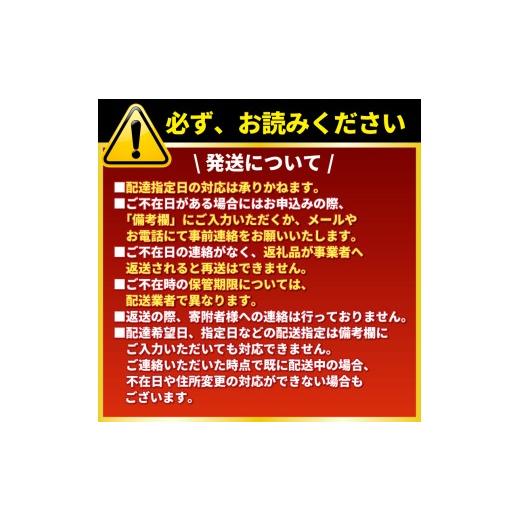 ふるさと納税 ウナギ 愛媛県 愛南町  定期便 全6回 毎月届く 国産 ウナギ 手焼き 白焼き 2本 ( 足し加える12尾 ／ 1本 約120g ) 鰻 白焼 隠し事の タレ 山椒 付き添い人 セッ…