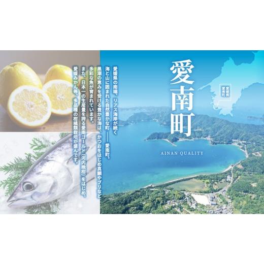 ふるさと納税 ウナギ 愛媛県 愛南町  定期便 全6回 毎月届く 国産 ウナギ 手焼き 白焼き 2本 ( 足し加える12尾 ／ 1本 約120g ) 鰻 白焼 隠し事の タレ 山椒 付き添い人 セッ…