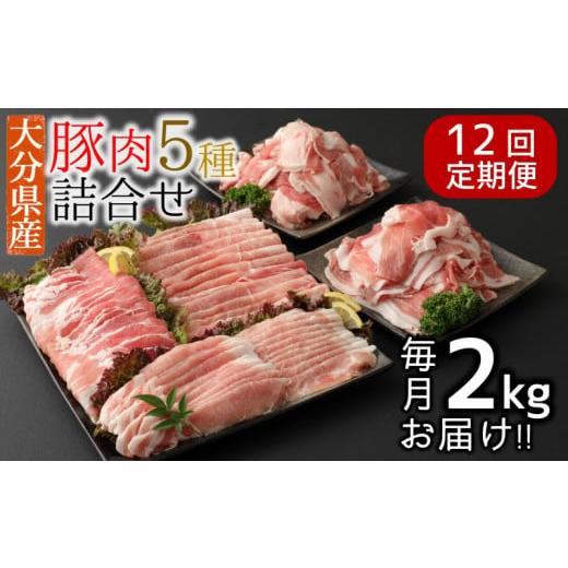 ふるさと納税 豚肉 セット 大分県 臼杵市 12ヶ月定期便:2026年4月配送開始 小分けで便利 大分県産 豚5種詰め合わせ(約2kg×12回) 2026年4月〜2027年3月お…