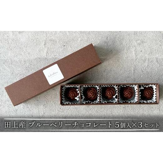 ふるさと納税 新潟県 田上町 田上産 栽培期間中無農薬ブルーベリーで作るチョコレート 5個入×3セット
