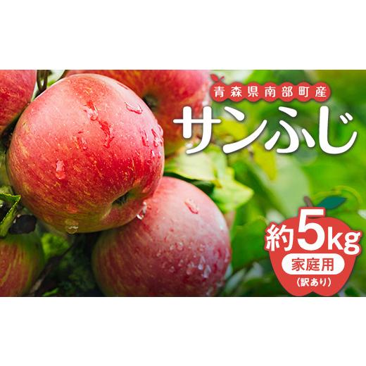 ふるさと納税 りんご 青森県 南部町 訳あり 青森県南部町産りんご 家庭用サンふじ 約5kg 泉山果樹園 青森りんご リンゴ 林檎 アップル あおもり 青森 青森県 …