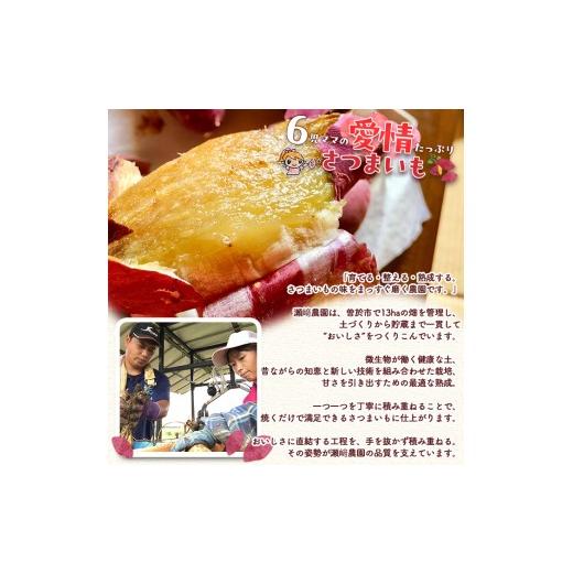 ふるさと納税 野菜類 サツマイモ 鹿児島県 曽於市  先行予約受付中 2026年8月以降順次発送予定 鹿児島県曽於市産 新物 紅はるか(10kg) 芋 さつまいも 紅はるか…の画像