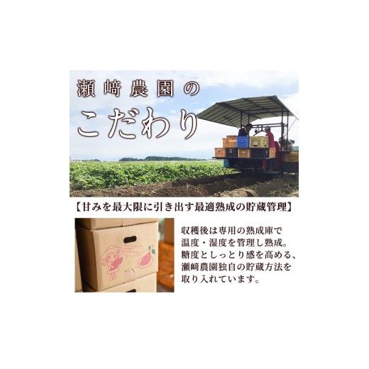 ふるさと納税 野菜類 サツマイモ 鹿児島県 曽於市  先行予約受付中 2026年8月以降順次発送予定 鹿児島県曽於市産 新物 紅はるか(10kg) 芋 さつまいも 紅はるか…の画像