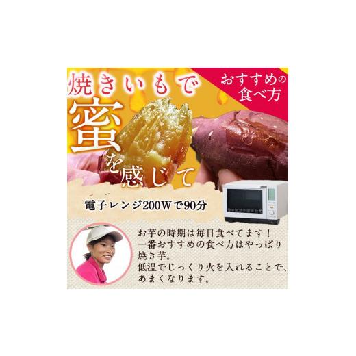 ふるさと納税 野菜類 サツマイモ 鹿児島県 曽於市  先行予約受付中 2026年8月以降順次発送予定 鹿児島県曽於市産 新物 紅はるか(10kg) 芋 さつまいも 紅はるか…の画像