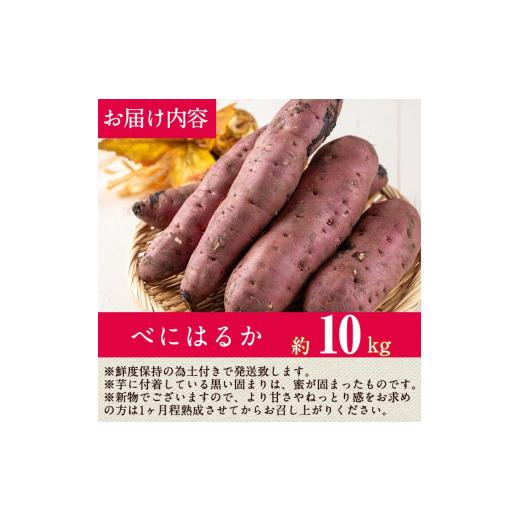 ふるさと納税 野菜類 サツマイモ 鹿児島県 曽於市  先行予約受付中 2026年8月以降順次発送予定 鹿児島県曽於市産 新物 紅はるか(10kg) 芋 さつまいも 紅はるか…の画像