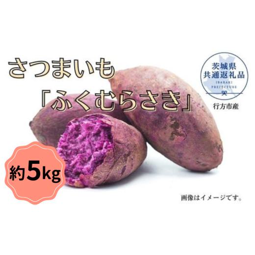ふるさと納税 野菜類 サツマイモ 茨城県 鉾田市 2025年産 さつまいも「ふくむらさき」約5kg(茨城県共通返礼品/行方市産)