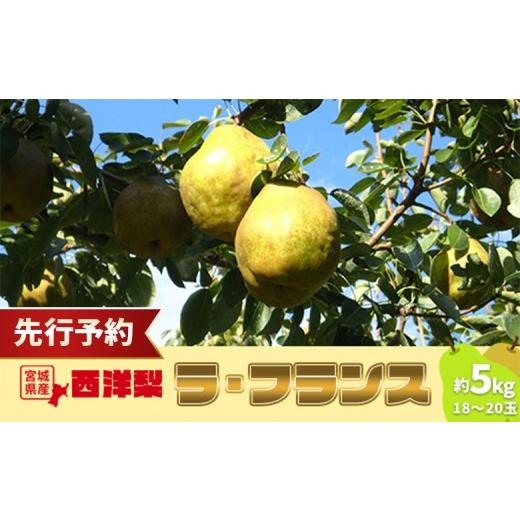 ふるさと納税 梨 宮城県 白石市 先行予約 数量限定 西洋梨 ラ・フランス 約5kg (18〜20玉) | 洋梨 梨 果物 くだもの フルーツ 食後 デザート 香り豊か 旬 ジ…