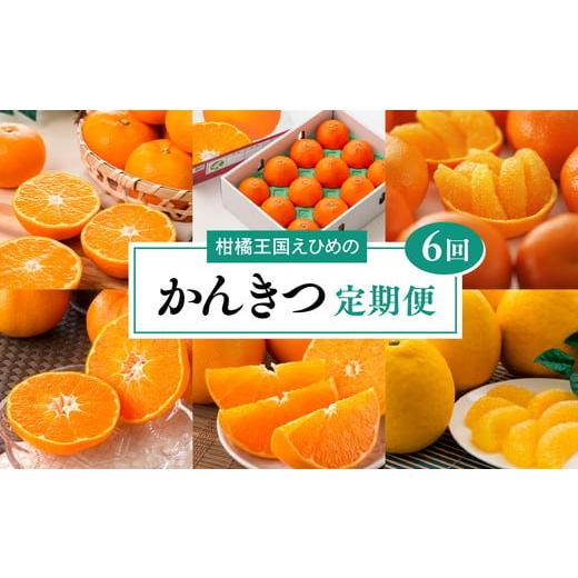 ふるさと納税 果物類 みかん 愛媛県 松野町 愛媛県共通返礼品 定期便 愛媛の柑橘定期便(全6回)(日の丸みかん・紅まどんな・いよかん・不知火(デコポン)…