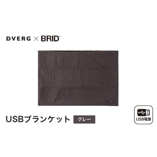 ふるさと納税 アウトドアグッズ 福井県 坂井市 DVERG USBブランケット 1点 (グレー) ブランケット ひざ掛け 電気毛布 ヒーター あったかグッズ 大判サイズ 軽…