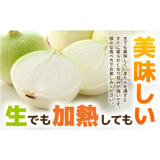 ふるさと納税 野菜類 玉ねぎ 福井県 あわら市  先行予約 採れたて 新玉ねぎ 10kg（サイズ S M L ミックス）田んぼで育てた甘くて柔らか自慢の玉ねぎ ／ 常備 …の画像