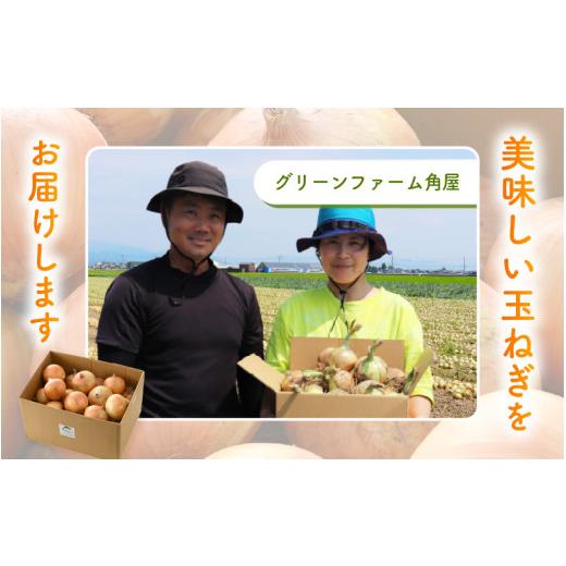 ふるさと納税 野菜類 玉ねぎ 福井県 あわら市  先行予約 採れたて 新玉ねぎ 10kg（サイズ S M L ミックス）田んぼで育てた甘くて柔らか自慢の玉ねぎ ／ 常備 …の画像