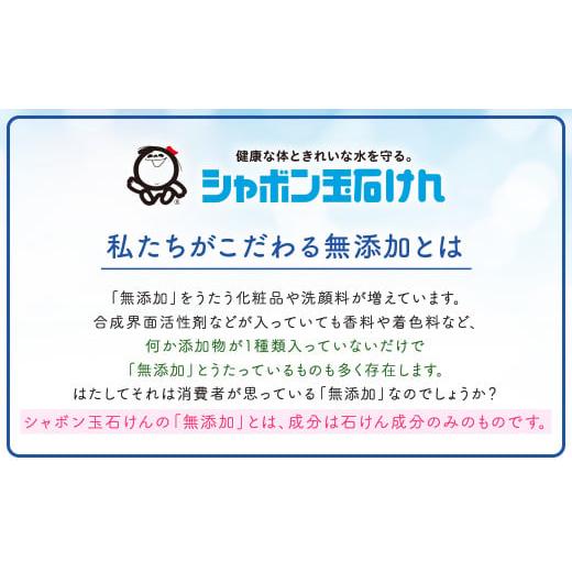 ふるさと納税 福岡県 北九州市 自然にやさしいナチュラルクリーニングセット（シャボン玉石けん）｜furusatochoice｜07