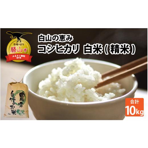 ふるさと納税 米 コシヒカリ 福井県 勝山市 先行予約 白山の恵み 令和7年度産 新米 コシヒカリ(精米)10kg