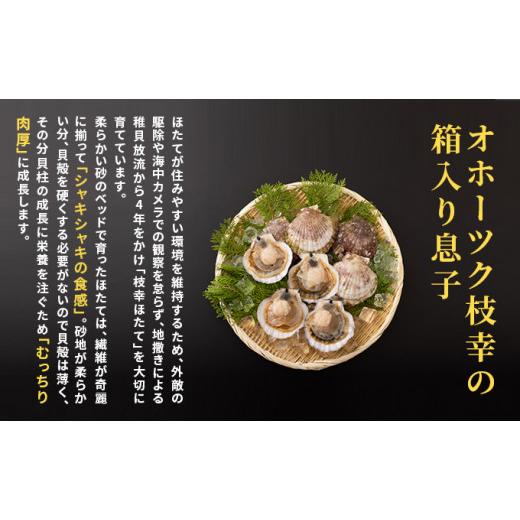 ふるさと納税 魚貝類 ホタテ 北海道 枝幸町 プロも認めるオホーツクブランド「枝幸ほたて」冷凍貝柱1kg（3Sサイズ：41粒〜50粒）枝幸漁協 刺身 魚介 帆立 超目…の画像