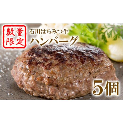 ふるさと納税 肉 ハンバーグ 福島県 石川町 数量限定 石川はちみつ牛ハンバーグ(5個) 13001