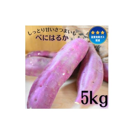 ふるさと納税 野菜類 サツマイモ 茨城県 鉾田市 しっとり甘いさつまいも 「特別栽培農産物」べにはるか 5kgの画像