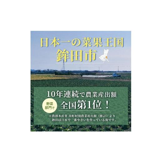 ふるさと納税 野菜類 サツマイモ 茨城県 鉾田市 しっとり甘いさつまいも 「特別栽培農産物」べにはるか 5kgの画像