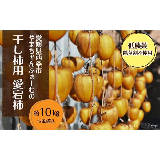 ふるさと納税 果物類 柿 愛媛県 西条市 干し柿用渋柿 「愛媛県産 あたご柿」 約10kg (30〜55玉入)柿 渋柿 干し柿 用 あたご柿 愛宕柿 カキ 国産 フルーツ 果…