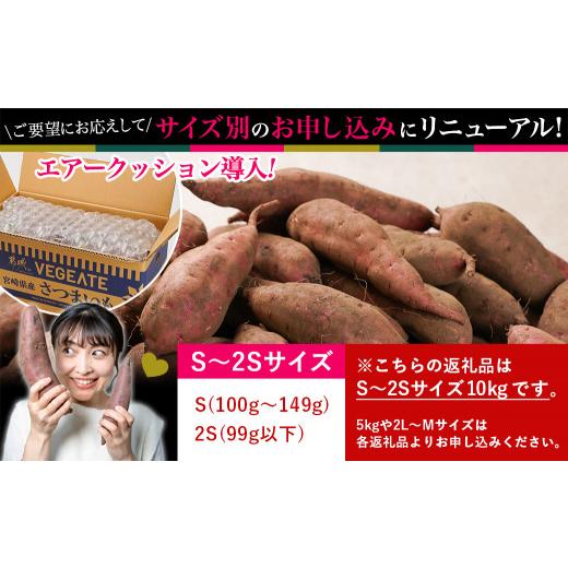 ふるさと納税 野菜類 サツマイモ 宮崎県 都城市 島津甘藷 熟成紅はるか 10kg(S〜2S)_12-A701-m_(都城市) 島津甘藷 紅はるか 10kg サイズ未選別 Ｓ〜２Ｓ 熟成…の画像