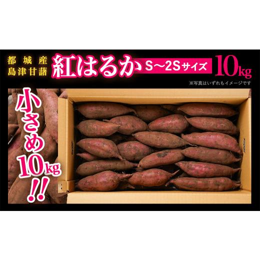 ふるさと納税 野菜類 サツマイモ 宮崎県 都城市 島津甘藷 熟成紅はるか 10kg(S〜2S)_12-A701-m_(都城市) 島津甘藷 紅はるか 10kg サイズ未選別 Ｓ〜２Ｓ 熟成…の画像