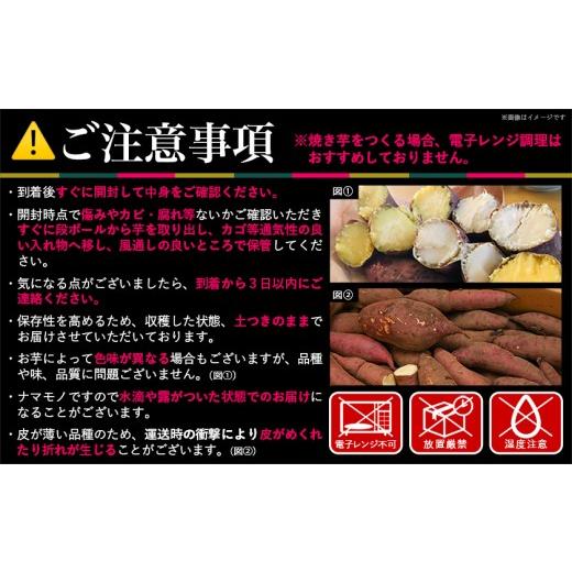 ふるさと納税 野菜類 サツマイモ 宮崎県 都城市 島津甘藷 熟成紅はるか 10kg(S〜2S)_12-A701-m_(都城市) 島津甘藷 紅はるか 10kg サイズ未選別 Ｓ〜２Ｓ 熟成…の画像