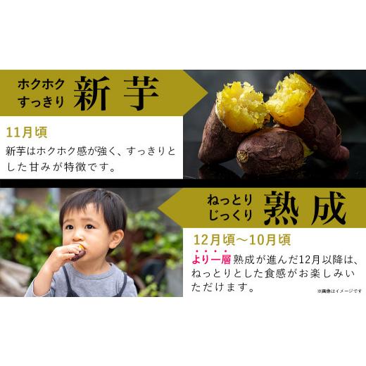 ふるさと納税 野菜類 サツマイモ 宮崎県 都城市 島津甘藷 熟成紅はるか 10kg(S〜2S)_12-A701-m_(都城市) 島津甘藷 紅はるか 10kg サイズ未選別 Ｓ〜２Ｓ 熟成…の画像
