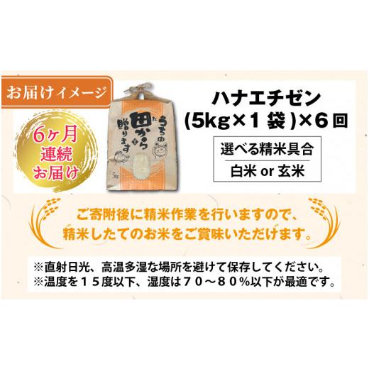 ふるさと納税 米 福井県 坂井市  先行予約 令和8年産・新米 定期便 6ヶ月連続お届け ハナエチゼン5kg×6回 計30kg 〜本原農園からまごころコメて〜（白米） 20…の画像