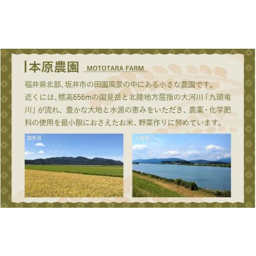 ふるさと納税 米 福井県 坂井市  先行予約 令和8年産・新米 定期便 6ヶ月連続お届け ハナエチゼン5kg×6回 計30kg 〜本原農園からまごころコメて〜（白米） 20…の画像