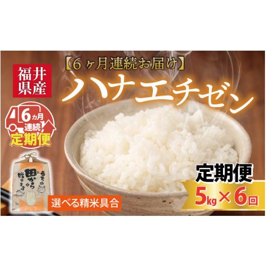 ふるさと納税 米 福井県 坂井市  先行予約 令和8年産・新米 定期便 6ヶ月連続お届け ハナエチゼン5kg×6回 計30kg 〜本原農園からまごころコメて〜（白米） 20…の画像