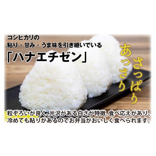 ふるさと納税 米 福井県 坂井市  先行予約 令和8年産・新米 定期便 3ヶ月連続お届け ハナエチゼン10kg×3回 計30kg 〜本原農園からまごころコメて〜（玄米） 2…の画像
