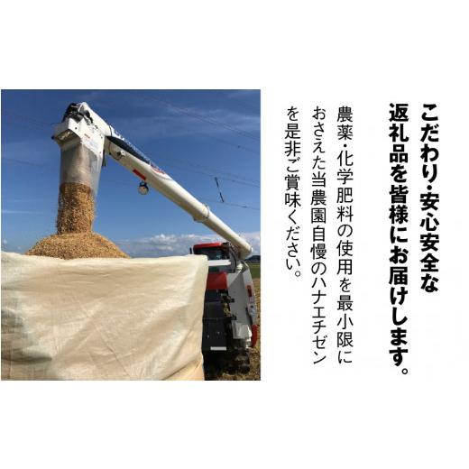 ふるさと納税 米 福井県 坂井市  先行予約 令和8年産・新米 定期便 3ヶ月連続お届け ハナエチゼン10kg×3回 計30kg 〜本原農園からまごころコメて〜（玄米） 2…の画像