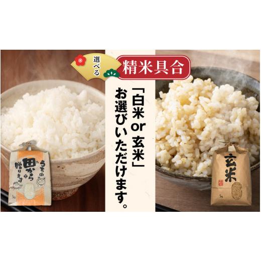 ふるさと納税 米 福井県 坂井市  先行予約 令和8年産・新米 定期便 3ヶ月連続お届け ハナエチゼン10kg×3回 計30kg 〜本原農園からまごころコメて〜（玄米） 2…の画像