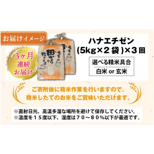 ふるさと納税 米 福井県 坂井市  先行予約 令和8年産・新米 定期便 3ヶ月連続お届け ハナエチゼン10kg×3回 計30kg 〜本原農園からまごころコメて〜（玄米） 2…の画像