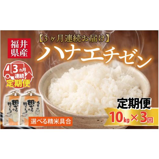ふるさと納税 米 福井県 坂井市  先行予約 令和8年産・新米 定期便 3ヶ月連続お届け ハナエチゼン10kg×3回 計30kg 〜本原農園からまごころコメて〜（玄米） 2…の画像