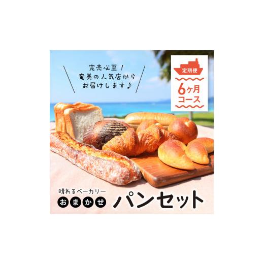 ふるさと納税 米・パン 総菜パン 鹿児島県 奄美市 晴れるベーカリー おまかせ パンセット定期便 〜6ヶ月コース〜　A032-T02