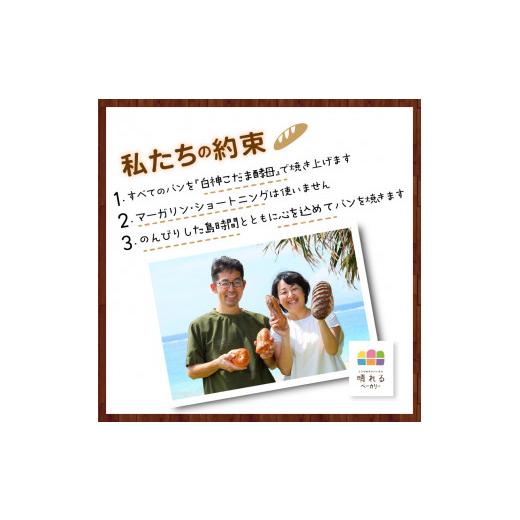 ふるさと納税 米・パン 総菜パン 鹿児島県 奄美市 晴れるベーカリー おまかせ パンセット定期便 〜6ヶ月コース〜　A032-T02