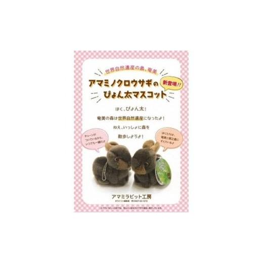 やまね工房　アマミノクロウサギ　ぴょん太　ぬいぐるみ　ウサギ ころんと可愛い奄美の動物】アマミノクロウサギ「ぴょん太」マスコット