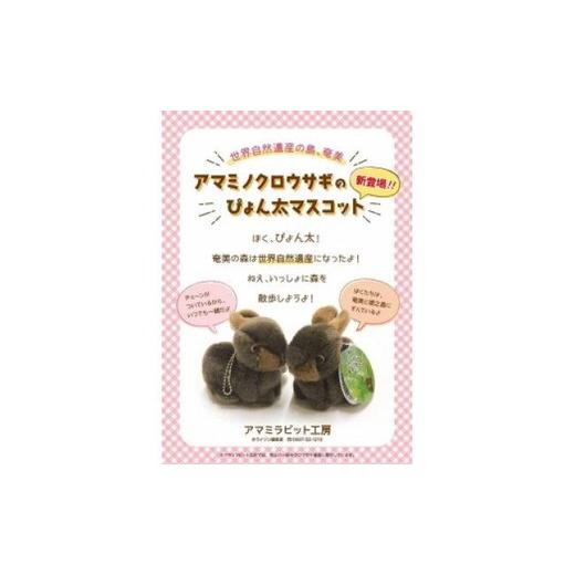 ふるさと納税 雑貨・日用品 ぬいぐるみ 鹿児島県 奄美市 アマミノ
