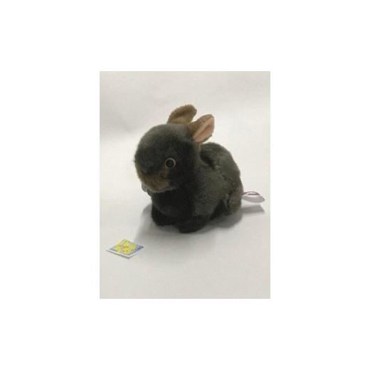 ふるさと納税 雑貨・日用品 ぬいぐるみ 鹿児島県 奄美市 アマミノ