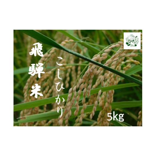 ふるさと納税 岐阜県 飛騨市 令和5年産 飛騨の米 コシヒカリ 5kg こだわり農家 地場産市場ひだ