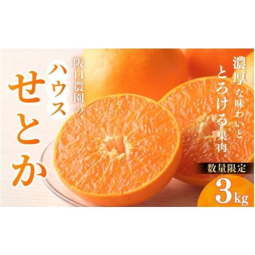 ふるさと納税 果物類 みかん 三重県 紀宝町 先行予約 数量限定 阪口農園のハウスせとか 3kg (2L〜3L 9玉〜12玉) 2027年2月中旬~3月中旬までに順次発送 せとか…