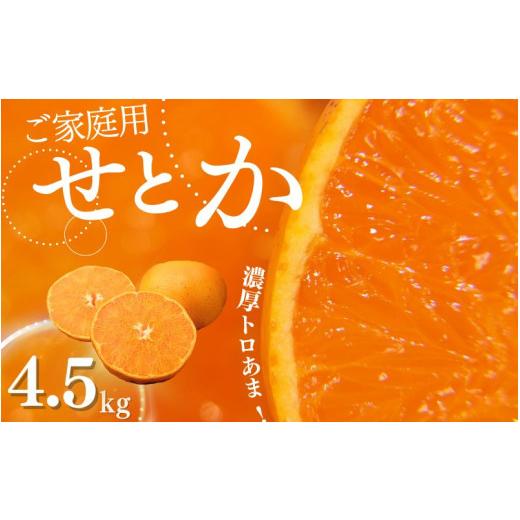 ふるさと納税 果物類 みかん 三重県 紀宝町 ご家庭用 たにぐち農園のせとか 4.5kg 大小混合 2027年3月から4月上旬までに順次発送 / 家庭用 ご家庭用 せとか …