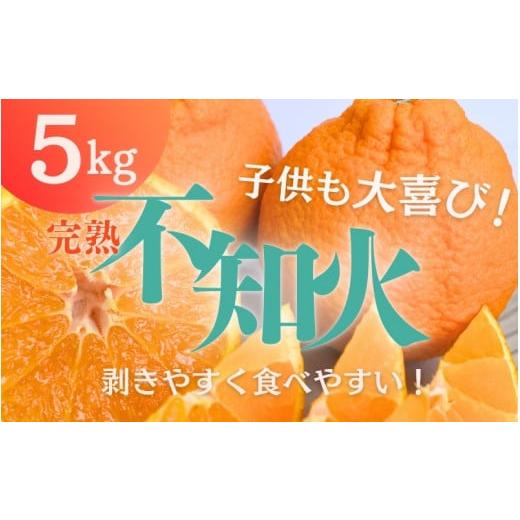 ふるさと納税 果物類 みかん 三重県 紀宝町 たにぐち農園の完熟不知火 5kg 2026年2月中旬から3月下旬までに順次発送 / 不知火 みかん 蜜柑 デコポン