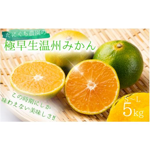 ふるさと納税 果物類 みかん 三重県 紀宝町 先行予約 ご家庭用 S-Lサイズ 混合 たにぐち農園の極早生温州みかん(マルチ栽培)5kg 2026年9月下旬〜10月下旬に順…