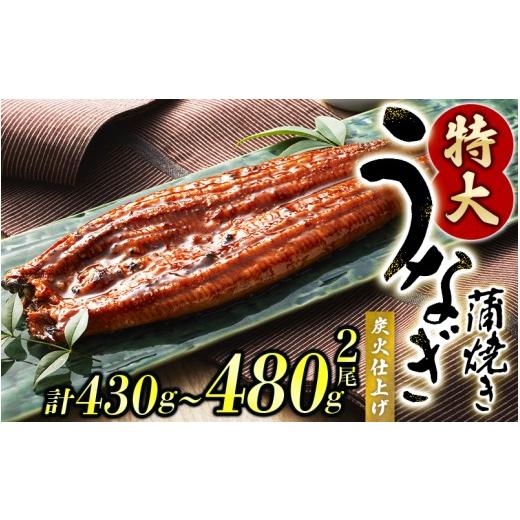ふるさと納税 うなぎ 和歌山県 北山村 1尾で約215g〜240gのビッグサイズ うなぎ蒲焼 2尾 計約430g〜480g (タレ・山椒付き) 通常発送 nks700B 通常発送